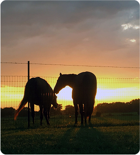 Sunsetcaberallos-scaled